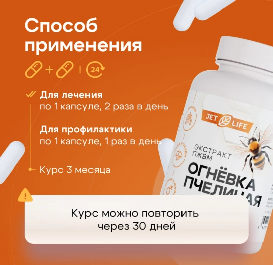Огнёвка пчелиная, ПЖВМ в капсулах 60 шт Огнёвка пчелиная, ПЖВМ в капсулах 60 шт